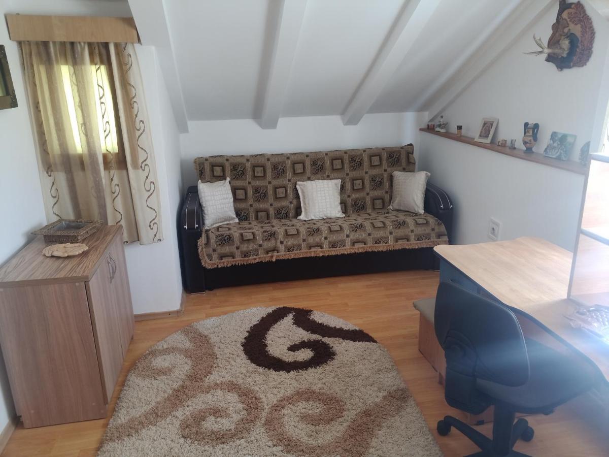 Casa Cristian Villa Câmpulung Moldovenesc Eksteriør bilde