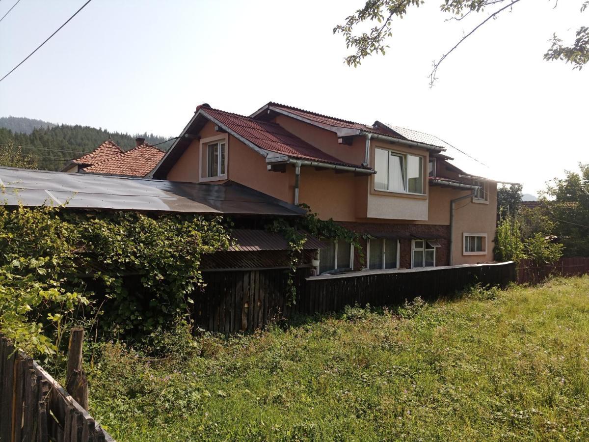 Casa Cristian Villa Câmpulung Moldovenesc Eksteriør bilde