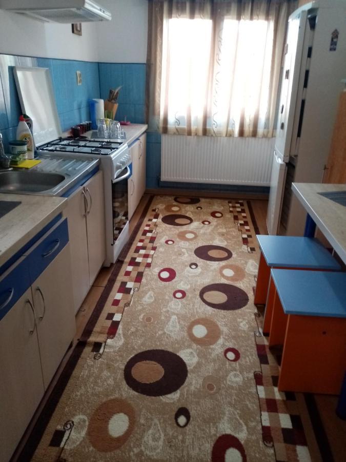 Casa Cristian Villa Câmpulung Moldovenesc Eksteriør bilde
