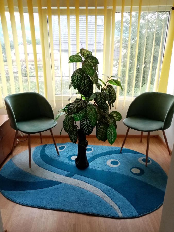 Casa Cristian Villa Câmpulung Moldovenesc Eksteriør bilde